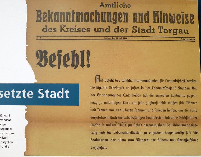 Torgau_ (145).JPG